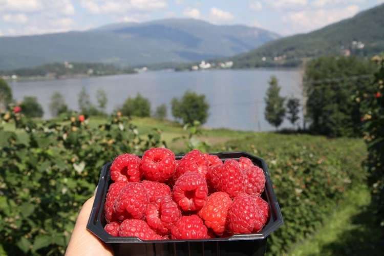 Drammen og Hønefoss