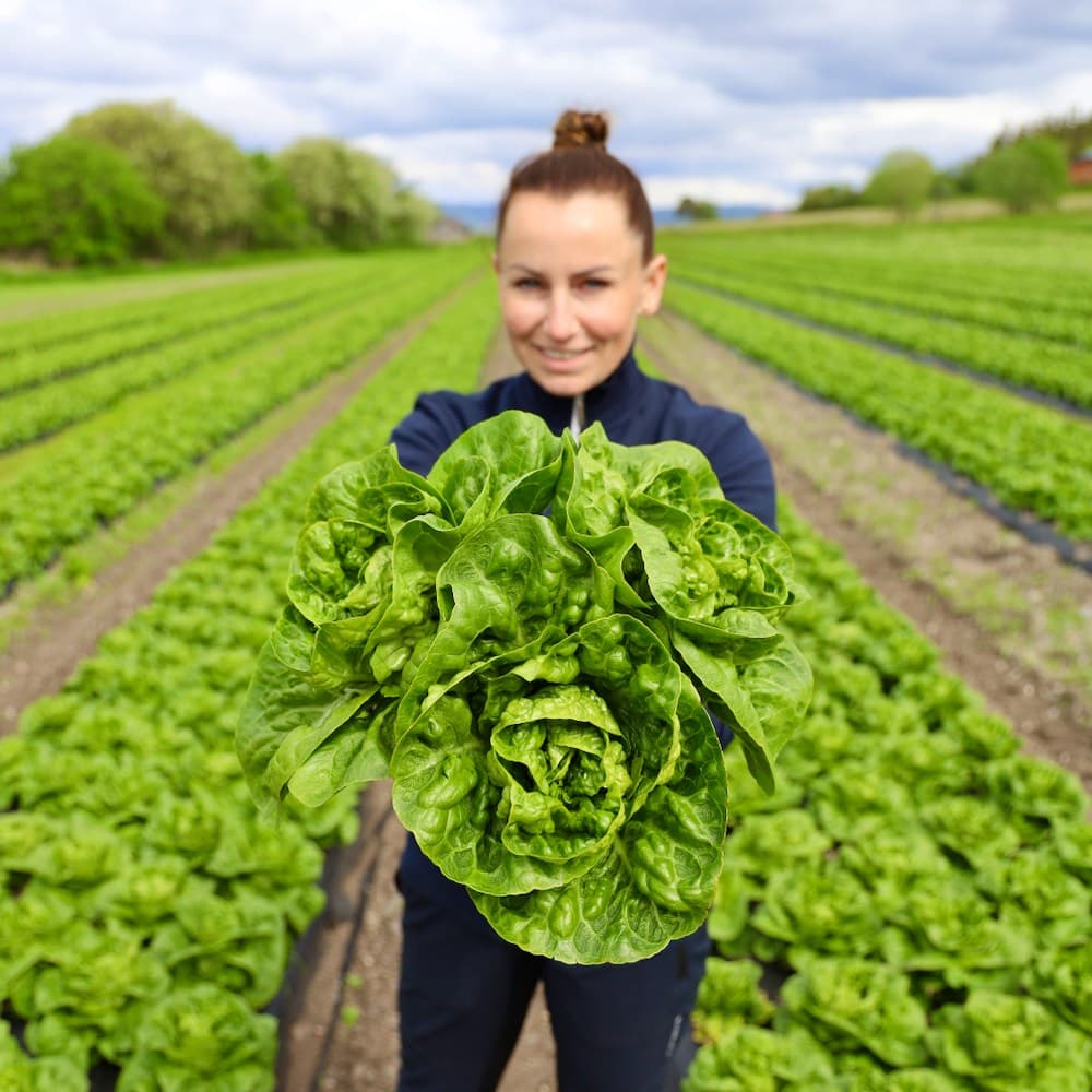 RÅGO - Trondheims Kjøkkenhage AS