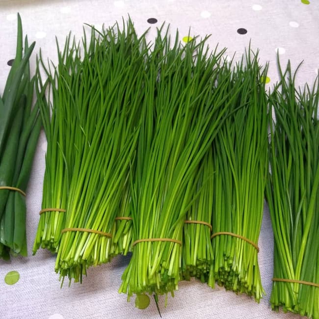 Høgt og vilt Urter frå Devik