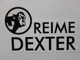 Reime dexter logo