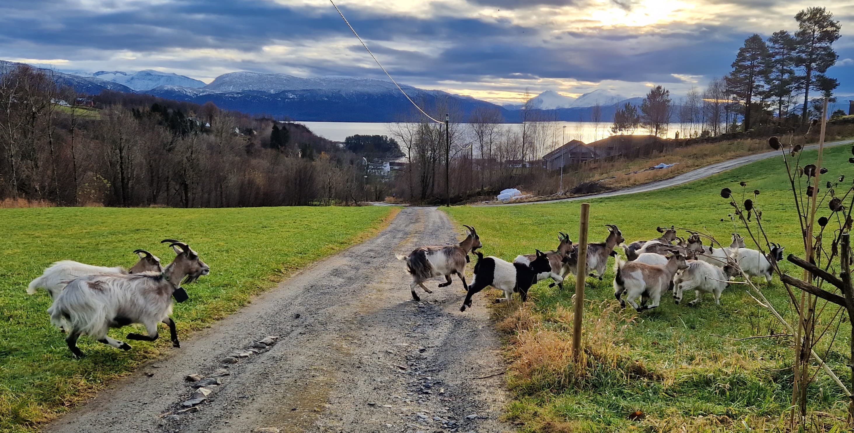 20231116_105434.jpg