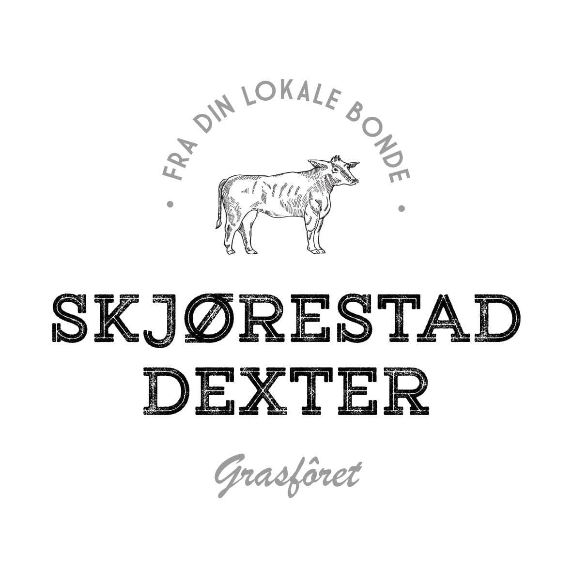 Jan Egil Skjørestad