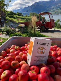 Tessas Eplegard logo