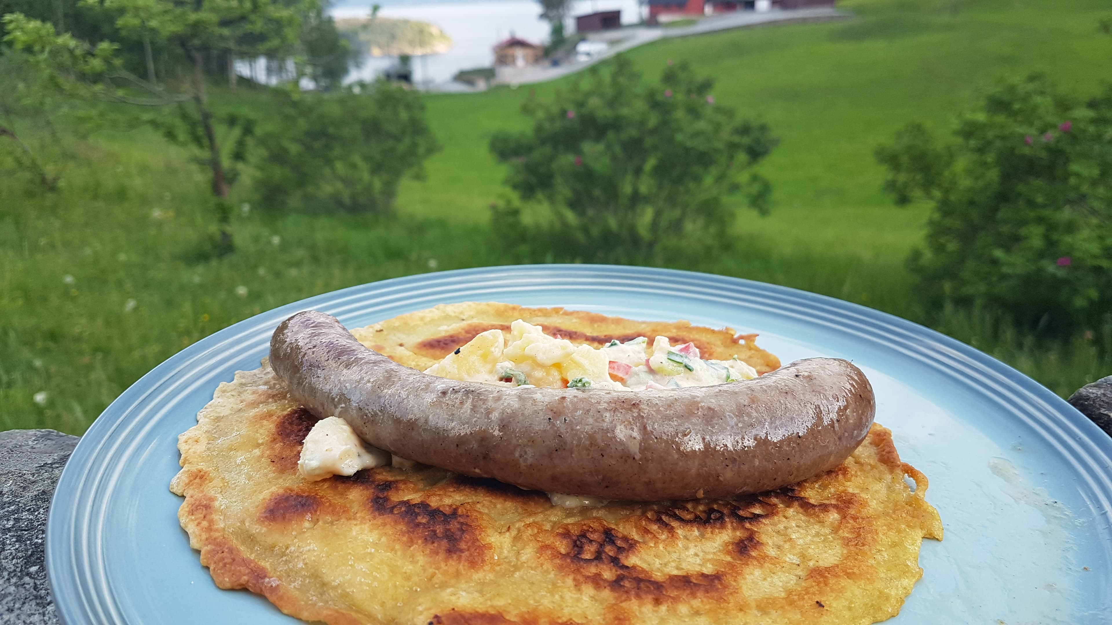 Bjørnebruket på Rykkje