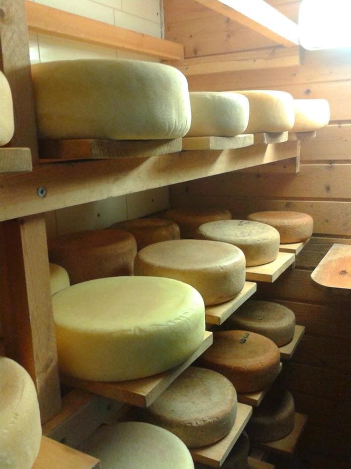 Brubekken Gårdsmeieri