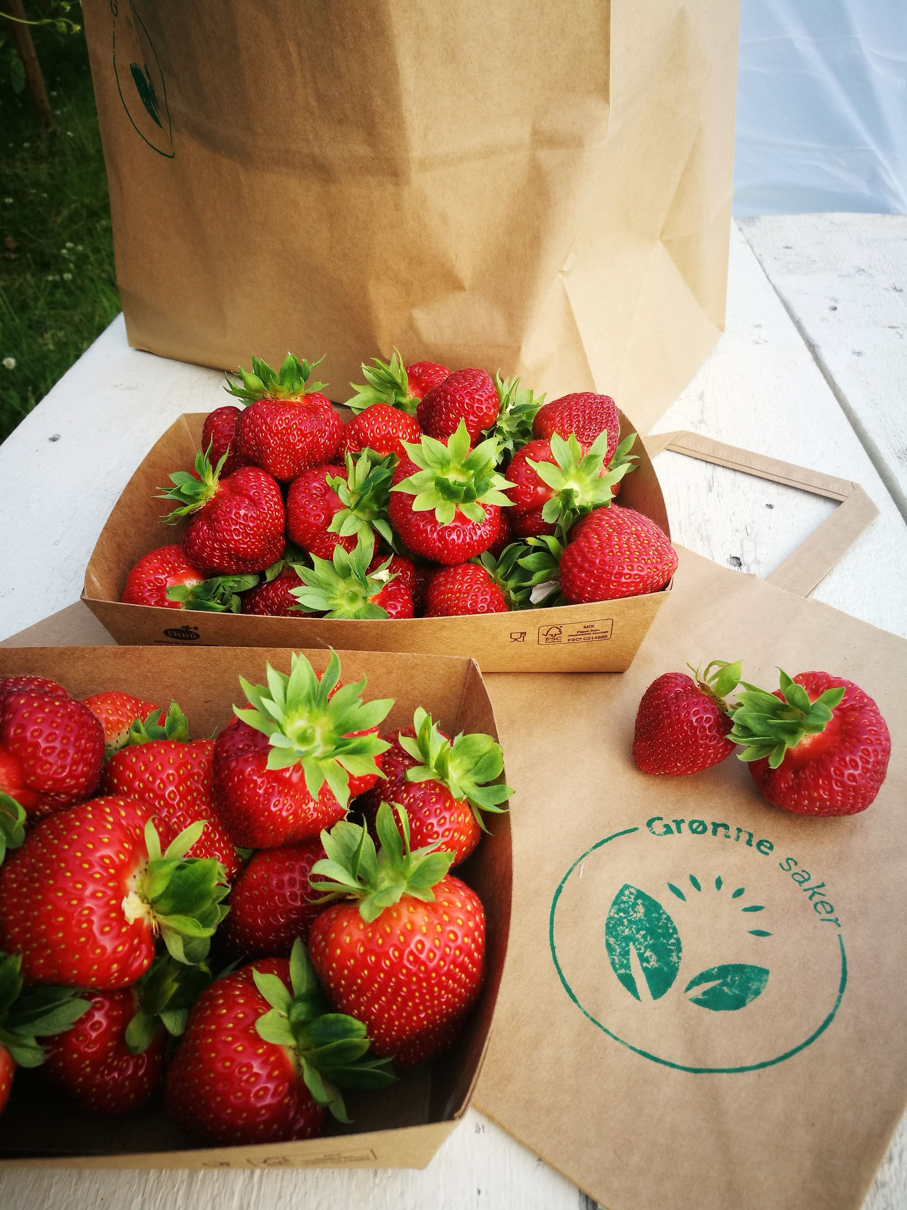 Hagells Bær og Grønne Saker