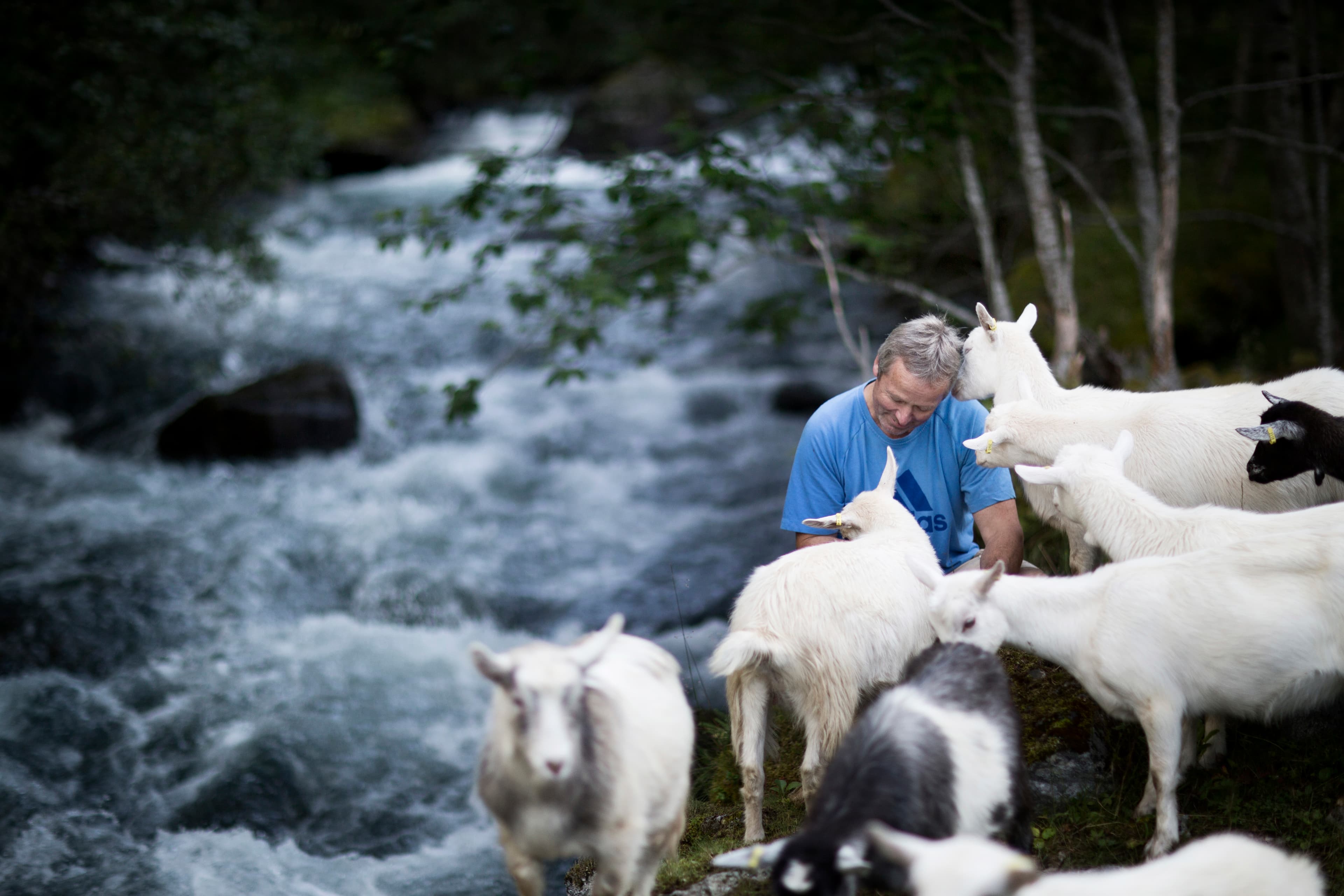 Kjesafari i Botnen - flott oppleving i mektig natur